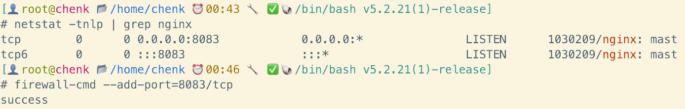 image-20250205004835538